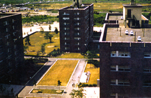 
180 and 190 Wortman, near Cozine Avenue, before Fairfield Towers ruined the view.