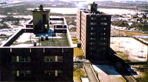 
180 and 190 Wortman, near Cozine Avenue, before Fairfield Towers ruined the view.