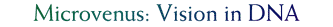 Microvenus: Vision in DNA