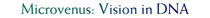 Microvenus: Vision in DNA
